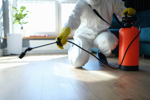 Reliable Odor Removal contractor in Pleasant Hill, MO by Dulley Family Biohazard Services